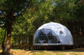 Cool Glamping La aventurosa